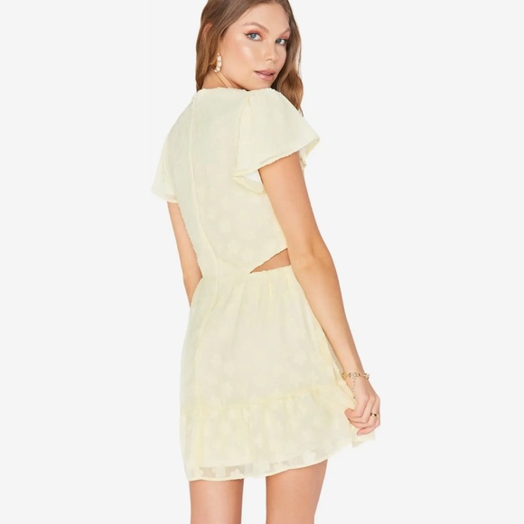 Show me your MuMu Merritt Mini Dress - Picture 2 of 5